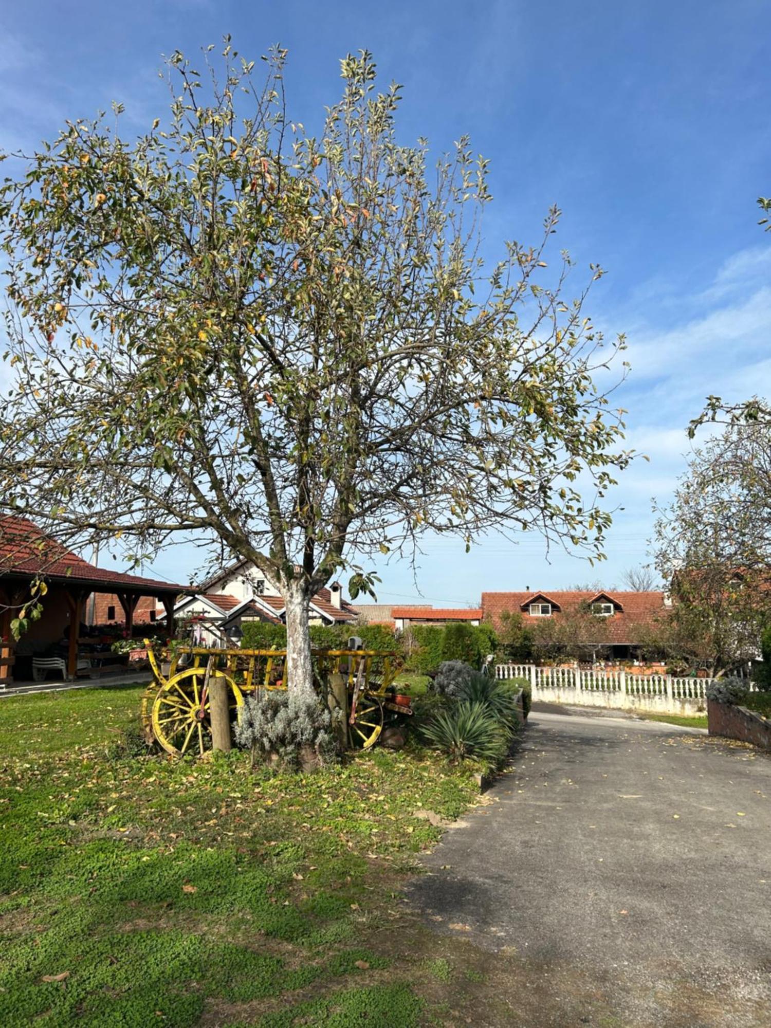 B&B Lukac Kutina Exteriér fotografie
